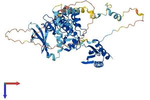 AlphaFold protein structure predicition of Human Recombinant PRKAA1 Protein, UniprotID Q13131