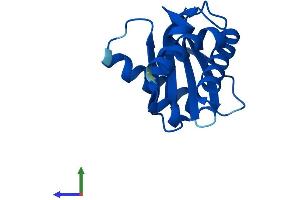 AlphaFold protein structure predicition of Human Recombinant AP4S1 Protein, UniprotID Q9Y587
