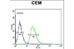 TSN7 Antibody (Center) (ABIN651068 and ABIN2840057) flow cytometric analysis of CEM cells (right histogram) comred to a negative control cell (left histogram). (Tetraspanin 7 anticorps  (AA 98-124))