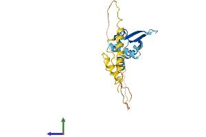 AlphaFold protein structure predicition of Mouse Recombinant Mageh1 Protein, UniprotID Q9NWG9