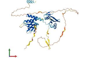 AlphaFold protein structure predicition of Human Recombinant STAP2 Protein, UniprotID Q9UGK3
