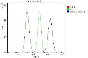 Flow Cytometry analysis of U87 cells using anti-Gpnmb antibody (ABIN7600217). (Osteoactivin anticorps  (AA 164-564))