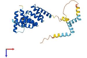 AlphaFold protein structure predicition of Mouse Recombinant Sgtb Protein, UniprotID Q8VD33