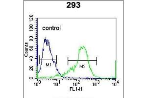 NKX1-2 Antibody (N-term) (ABIN655691 and ABIN2845148) flow cytometric analysis of 293 cells (right histogram) compared to a negative control cell (left histogram).
