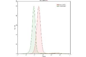 Detection of NECTIN2 in K562 human chronic myelogenous leukemia cell line using Polyclonal Antibody to Nectin 2 (NECTIN2)