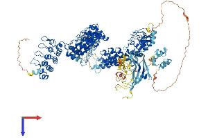 AlphaFold protein structure predicition of Human Recombinant TNKS2 Protein, UniprotID Q9H2K2
