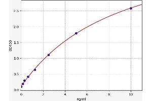 Typical standard curve (BACE1 Kit ELISA)
