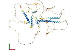 AlphaFold protein structure predicition of Human Recombinant GATAD2A Protein, UniprotID Q86YP4