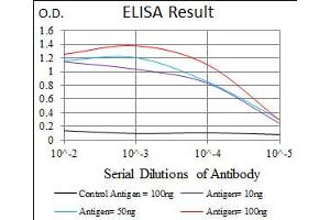 Image no. 1 for anti-delta-Like 4 (DLL4) antibody (ABIN1491404)
