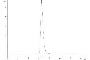 Size-exclusion chromatography-High Pressure Liquid Chromatography (SEC-HPLC) image for SARS-CoV-2 Spike S1 (D614G) protein (His-Avi Tag) (ABIN7274404)