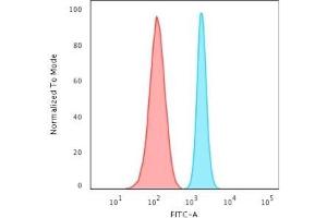 Flow Cytometric Analysis of HeLa cells using Spectrin beta III Rabbit Recombinant Monoclonal Antibody (SPTBN2/2887R) followed by Goat anti-rabbit IgG-CF488 (Blue); Isotype Control (Red).