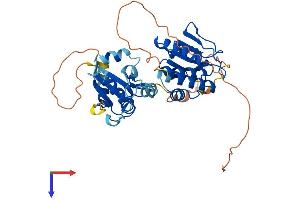 AlphaFold protein structure predicition of Mouse Recombinant Dusp4 Protein, UniprotID Q8BFV3