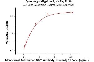 Immobilized Cynomolgus Glypican 3, His Tag (ABIN5526592,ABIN5526593) at 0.