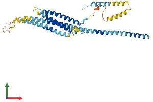 AlphaFold protein structure predicition of Human Recombinant STX16 Protein, UniprotID O14662