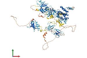 AlphaFold protein structure predicition of Mouse Recombinant Prkd2 Protein, UniprotID Q8BZ03