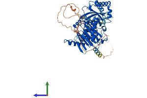 AlphaFold protein structure predicition of Mouse Recombinant Mon1a Protein, UniprotID Q6PDG8