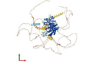 AlphaFold protein structure predicition of Mouse Recombinant Hdac7 Protein, UniprotID Q8C2B3