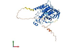 AlphaFold protein structure predicition of Human Recombinant MGAT2 Protein, UniprotID Q10469