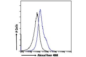 (ABIN185551) Flow cytometric analysis of paraformaldehyde fixed A431 cells (blue line), permeabilized with 0. (OGFR anticorps  (C-Term))