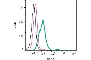Cell surface detection of CD9 by direct flow cytometry in live intact human MDA- breast adenocarcinoma cell line: + Rabbit IgG Isotype Control-FITC (ABIN7582044).