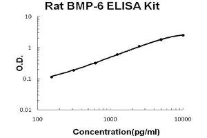 Rat BMP-6 PicoKine ELISA Kit standard curve