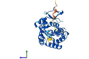 AlphaFold protein structure predicition of Human Recombinant AK2 Protein, UniprotID P54819