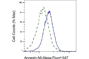 Validation of Annexin A6 knockdown using flow cytometry. (Recombinant ANXA6 anticorps)