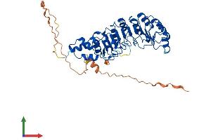 AlphaFold protein structure predicition of Human Recombinant SKP2 Protein, UniprotID Q13309