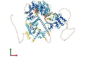 AlphaFold protein structure predicition of Human Recombinant MAP3K15 Protein, UniprotID Q6ZN16