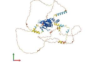 AlphaFold protein structure predicition of Mouse Recombinant Cdc25b Protein, UniprotID P30306