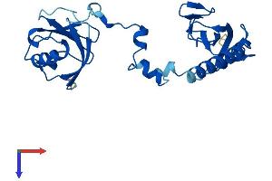AlphaFold protein structure predicition of Mouse Recombinant Tbcb Protein, UniprotID Q9D1E6