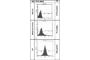 FACS analysis of negative control PC3-MM2 cells only, mock control cells staining with 2nd antibodies and CDH11 stained PC3-MM2 cells.