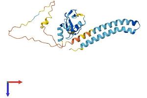 AlphaFold protein structure predicition of Human Recombinant RNF182 Protein, UniprotID Q8N6D2