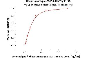 Immobilized Rhesus macaque CD155, His Tag (ABIN6386414,ABIN6388272) at 5 μg/mL (100 μL/well) can bind Cynomolgus / Rhesus macaque TIGIT, Fc Tag (ABIN4949061,ABIN4949062) with a linear range of 0.