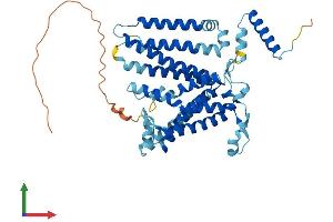 AlphaFold protein structure predicition of Human Recombinant CDS2 Protein, UniprotID O95674