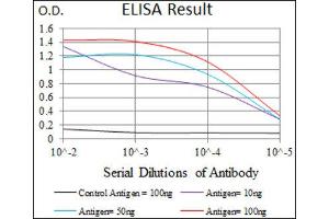 ELISA image for anti-Myocyte Enhancer Factor 2C (MEF2C) (AA 1-125) antibody (ABIN1846463) (MEF2C anticorps  (AA 1-125))