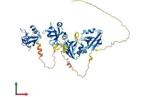 AlphaFold protein structure predicition of Mouse Recombinant Pdzk1 Protein, UniprotID Q9JIL4