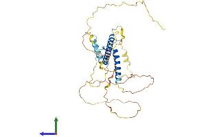 AlphaFold protein structure predicition of Human Recombinant PTF1A Protein, UniprotID Q7RTS3