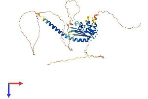 AlphaFold protein structure predicition of Human Recombinant TSPYL5 Protein, UniprotID Q86VY4