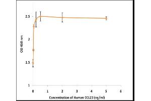 Activity Assay (AcA) image for Chemokine (C-C Motif) Ligand 23 (CCL23) (Active) protein (ABIN5509374) (CCL23 Protéine)