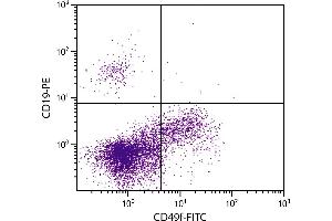 Human peripheral blood lymphocytes were stained with Mouse Anti-Human CD49f-FITC. (ITGA6 anticorps  (PE))