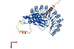AlphaFold protein structure predicition of Human Recombinant FBXL4 Protein, UniprotID Q9UKA2