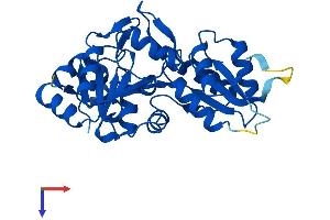 AlphaFold protein structure predicition of Human Recombinant PDXP Protein, UniprotID Q96GD0