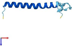 AlphaFold protein structure predicition of Mouse Recombinant Tomm7 Protein, UniprotID Q9D173