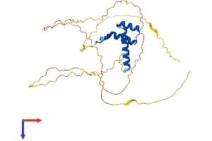 AlphaFold protein structure predicition of Mouse Recombinant Dlx5 Protein, UniprotID P70396