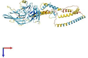 Endogenous Retrovirus Group K, Member 24 (ERVK-24) (AA 1-588) protein (His tag)