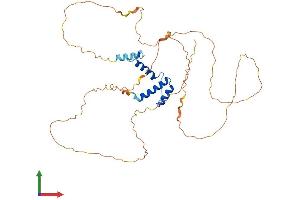 AlphaFold protein structure predicition of Human Recombinant SSBP3 Protein, UniprotID Q9BWW4