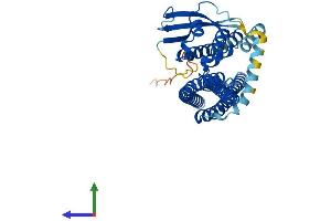 AlphaFold protein structure predicition of Mouse Recombinant Snx6 Protein, UniprotID Q6P8X1