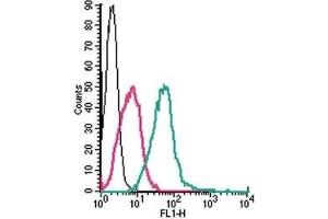 Cell surface detection of P2Y1 Receptor by direct flow cytometry in live intact mouse J774 macrophage cells: (black line) Cells.