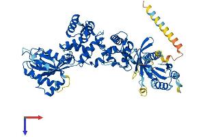 AlphaFold protein structure predicition of Mouse Recombinant Rhot2 Protein, UniprotID Q8JZN7